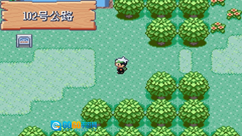 口袋妖怪火红金手指版图1