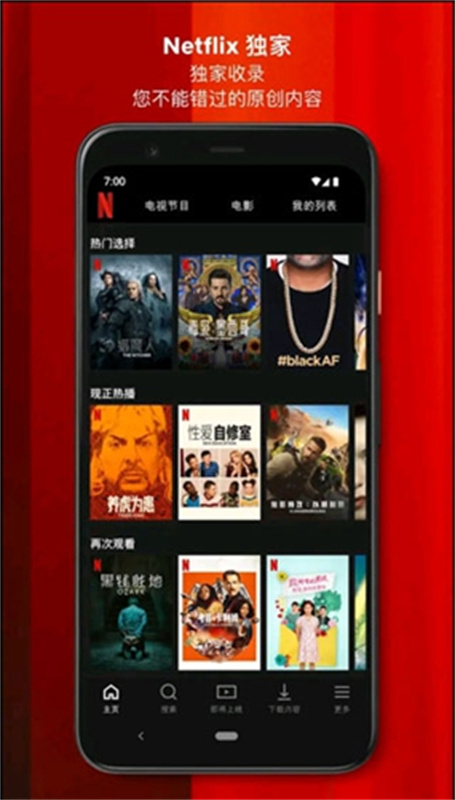 Netflix中文版图2
