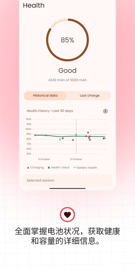 BatteryGuru汉化版图3