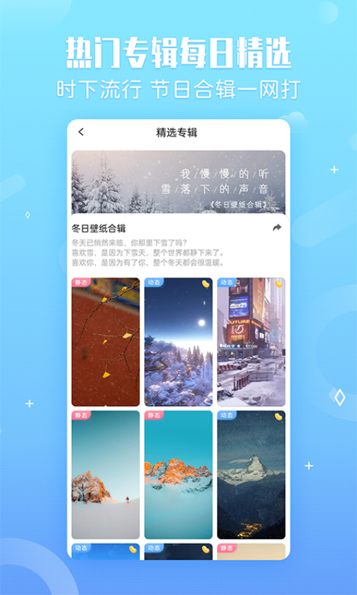 小鸟壁纸官网版图4