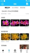 来安论坛官网版图2