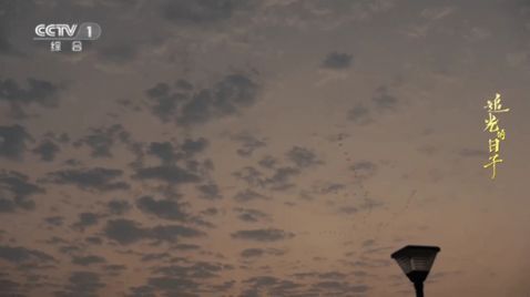 橙子电视直播tv版图3