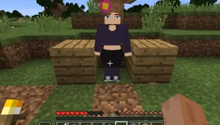 珍妮模组手机版