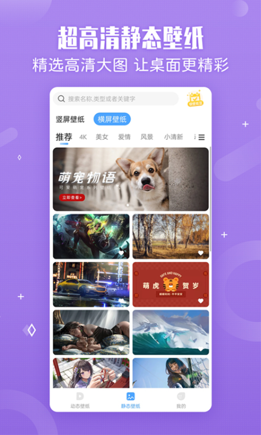 小鸟壁纸官网版截图4