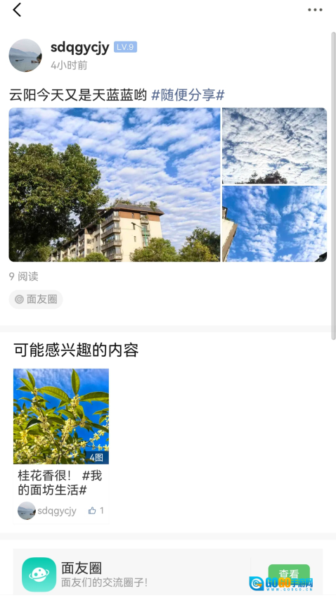 重庆鲜面条图2