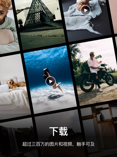 Pexels免费素材网图4