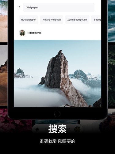 Pexels免费素材网图3