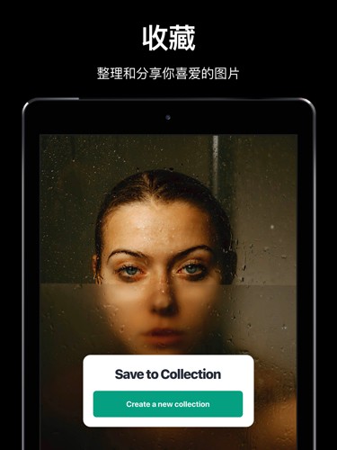 Pexels免费素材网图2