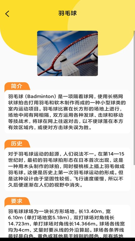 动感球球正版图2