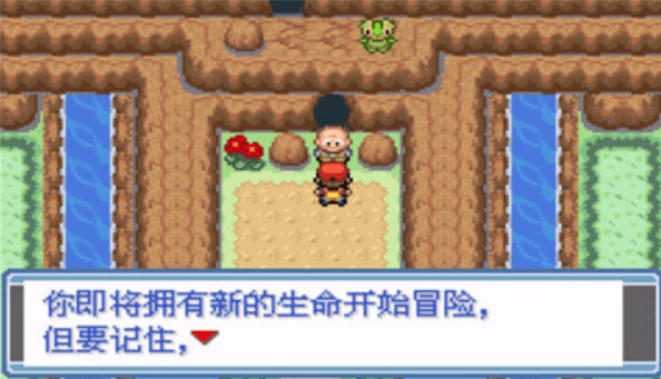 口袋妖怪永恒之焱xyz神兽版(2)