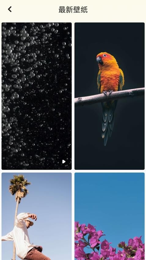 背景图片大全照片图2