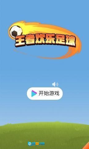 王者欢乐足球图5