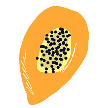 木瓜玩免费游戏版