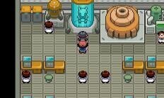 口袋妖怪究极绿宝石小智版图2