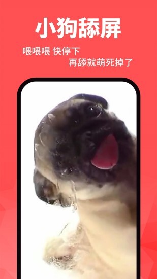 动态壁纸精灵超高清版图1