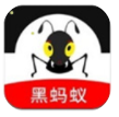 黑蚂蚁影视官网版