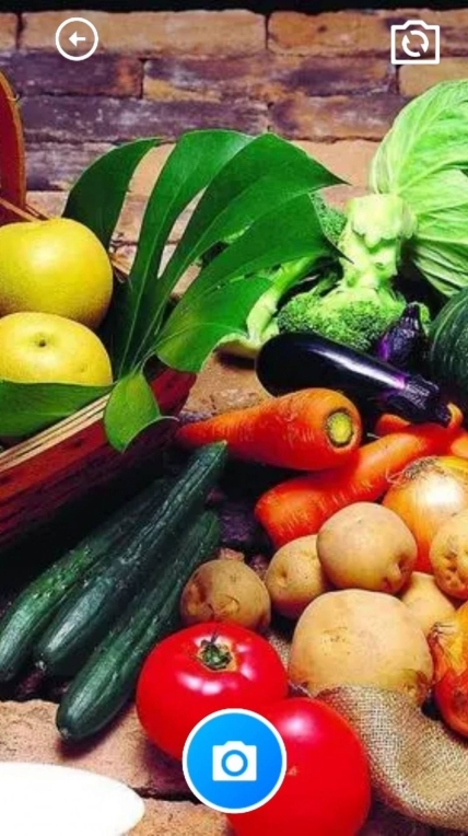 花蝶舞盒子中文版图3