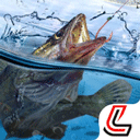 天天钓鱼官方版