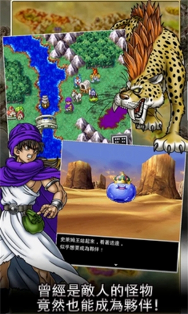 勇者斗恶龙5汉化版截图3