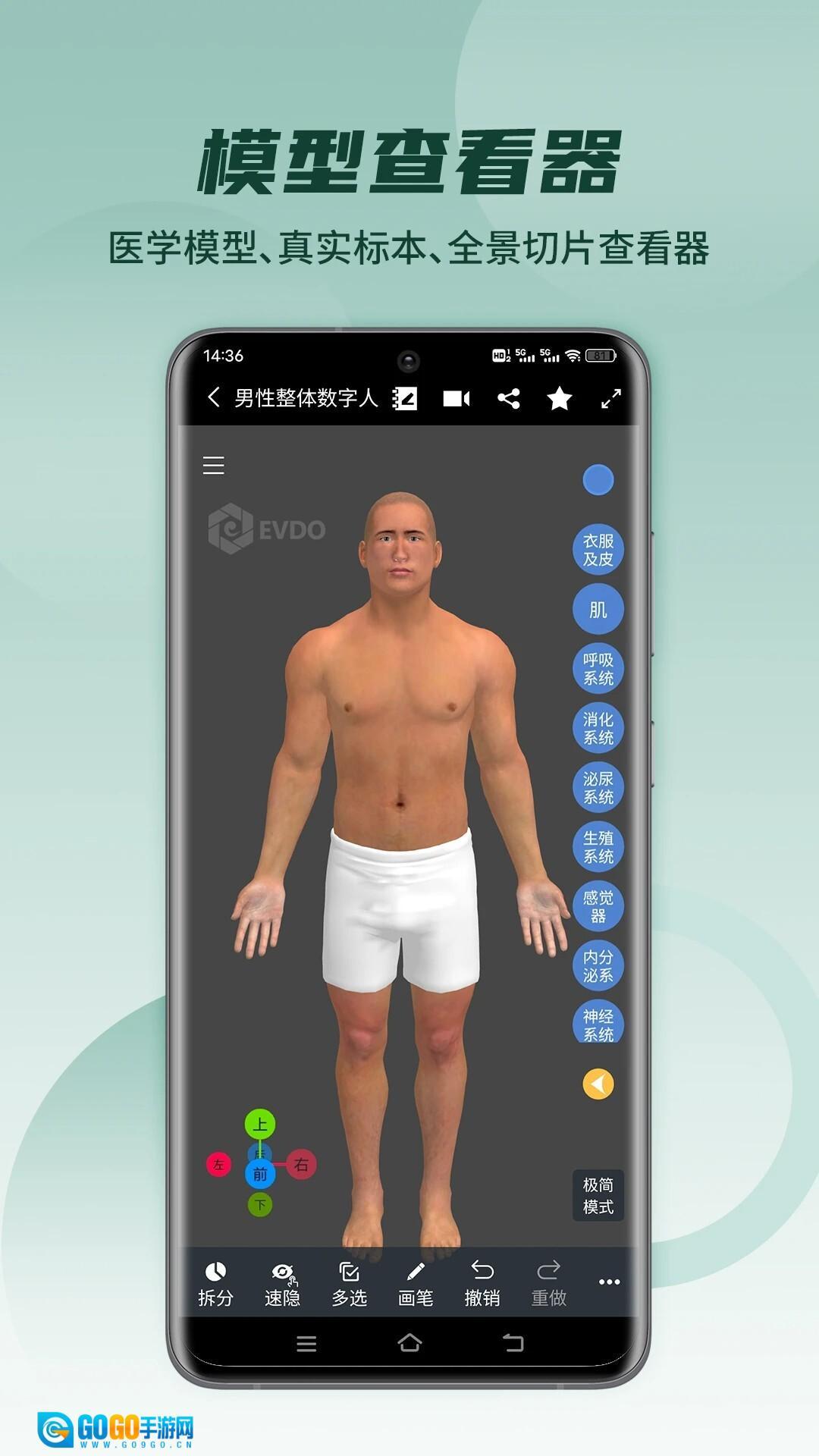 医维度解剖安卓版图1