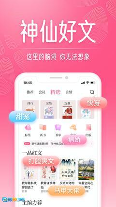 红袖读书vip版图4