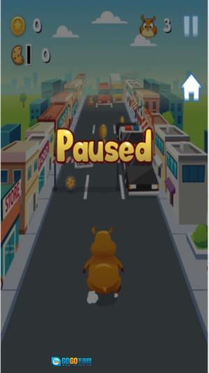 大大仓鼠跑酷图1