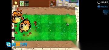 植物大战僵尸内鬼版图5