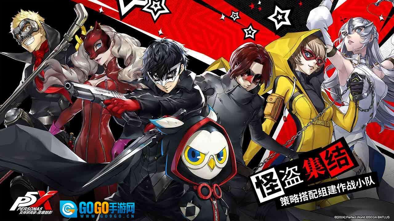 P5X图5