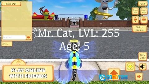 可爱的袖珍猫图3