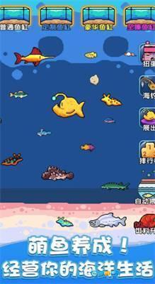 快来养鱼图1