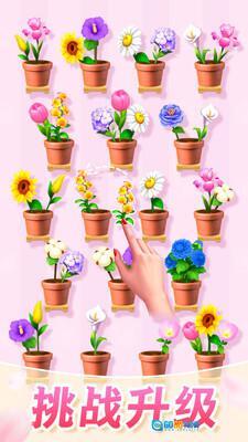 插花消除免广告版图2