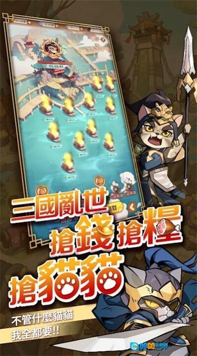 这个猫咪有点强图3