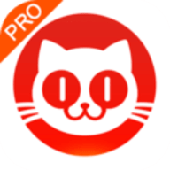 猫眼票房官网版