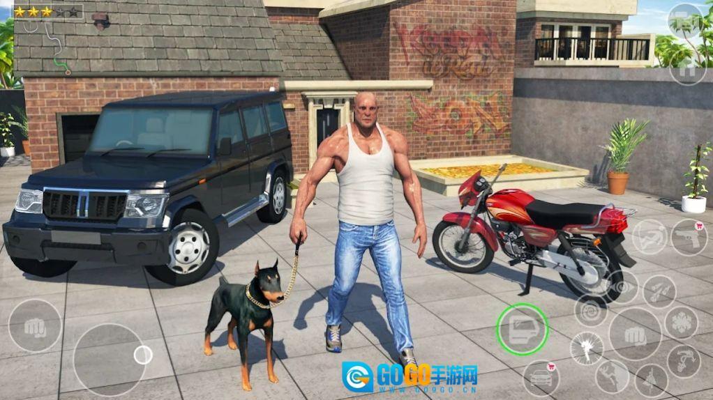 印度街头汽车图2