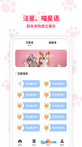 动物翻译器图1