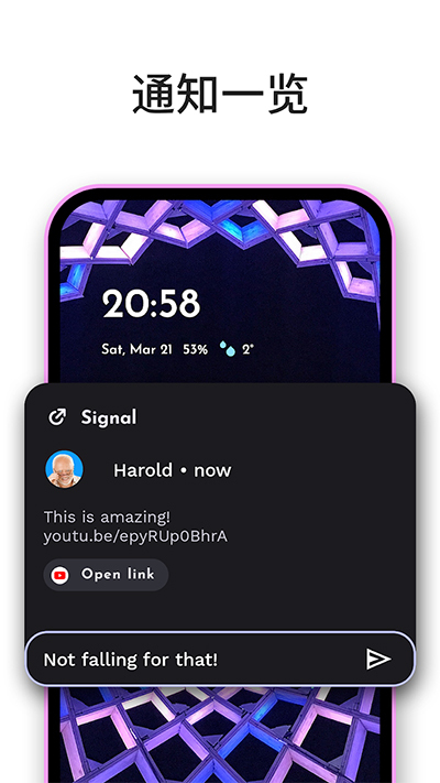 Niagara Launcher图1