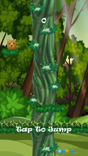 挑战大猩猩树图1