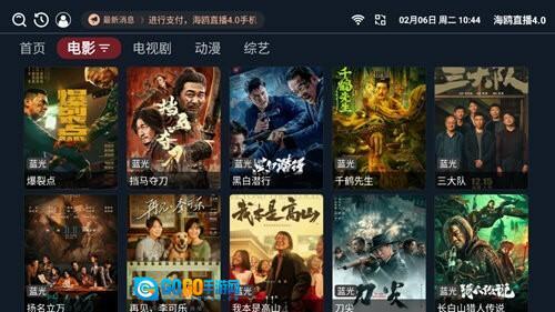 海鸥直播TV版图2