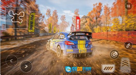 拉力赛车专业版图3