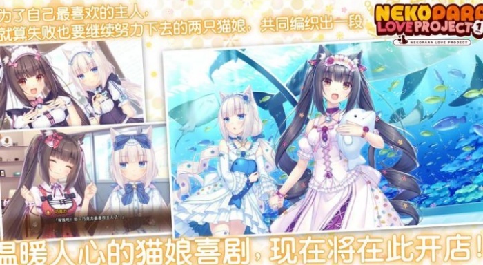 猫娘乐园手机版图4