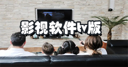 要看TV版本大全