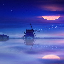 新月影音官网版