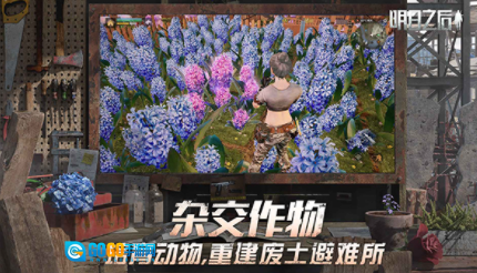 明日之后国际服图4