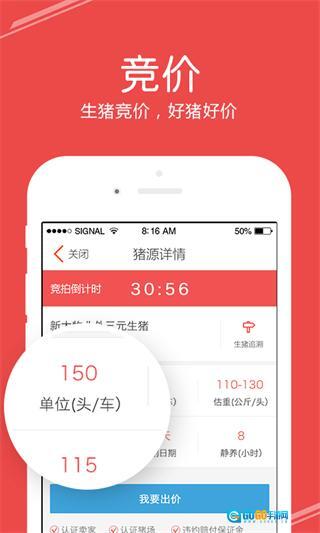 国家生猪市场图4