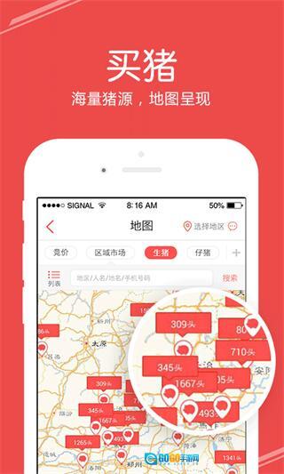 国家生猪市场图3