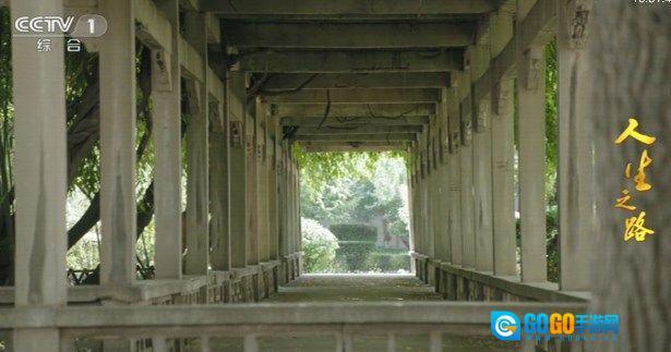 海星TV会员频道密码版图1