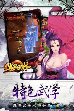 独步武林最新版图1