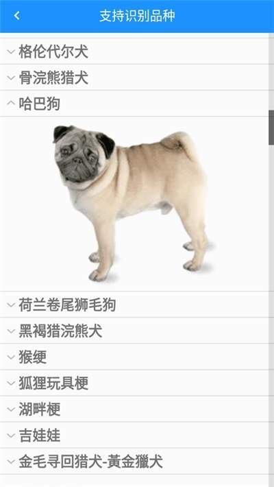 哈狗识别手机版图3