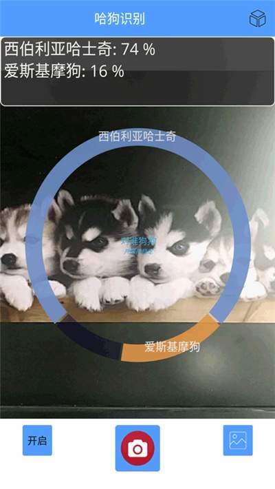 哈狗识别手机版图1