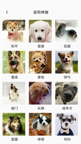 狗狗狗语翻译器手机版图3